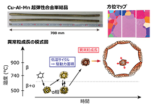 （図/写真2）幾度となく実験を繰り返し、熱サイクルの温度、回数の最適化を図った。高温サイクル熱処理の後に、低温サイクル熱処理（740℃⇔500℃）を4回繰り返して異常粒成長の駆動力を増大させ、φ15㎜、長さ700㎜の単結晶の棒材を得ることに成功した（写真上）。