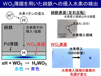 （図/写真2）鋼材へ侵入した水素を可視化するWO3薄膜を利用した新手法。反対側の表面から侵入した水素に反応して、色が水色から濃い青色に変化する様子が観察できる。今後は空間分解能、時間分解能を向上させ、鋼材の水素侵入サイトの解明に挑む。