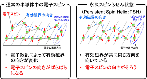 図2．永久スピンらせん状態によるスピンの長寿命化