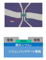 図1 作製したGaSe薄膜トランジスタ構造。