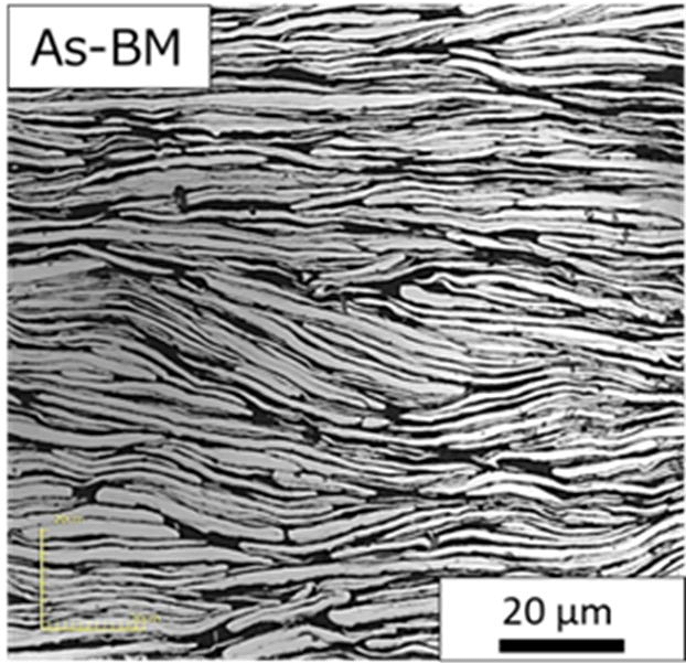 図2 開発したFe-Cr-Co系合金粉末を用いた樹脂複合体の断面写真例（As-BMの粉末を利用）